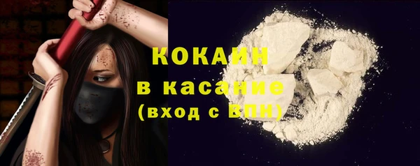 прущие грибы Володарск