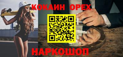 гашик Берёзовский