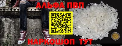 спиды Гатчина