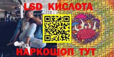 прущие крисы Бийск