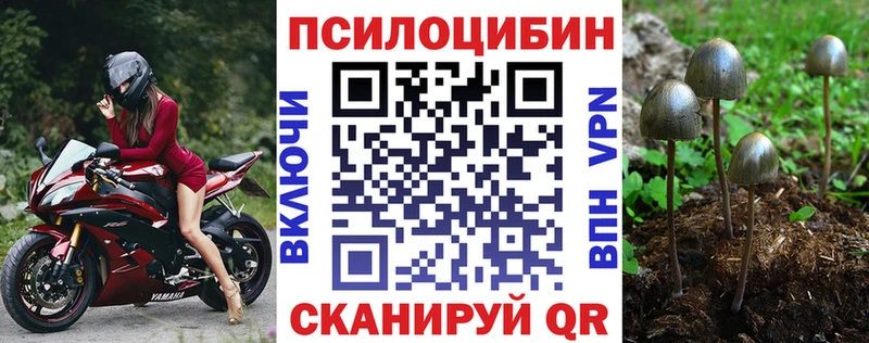 Псилоцибиновые грибы мицелий  где можно купить наркотик  Воткинск 
