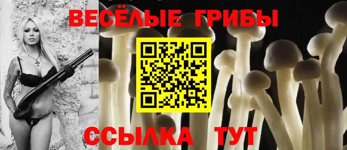 Псилоцибиновые грибы GOLDEN TEACHER Воткинск