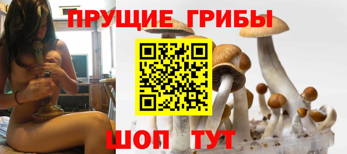 Воткинск  Псилоцибиновые грибы Psilocybe  Вход с VPN 
