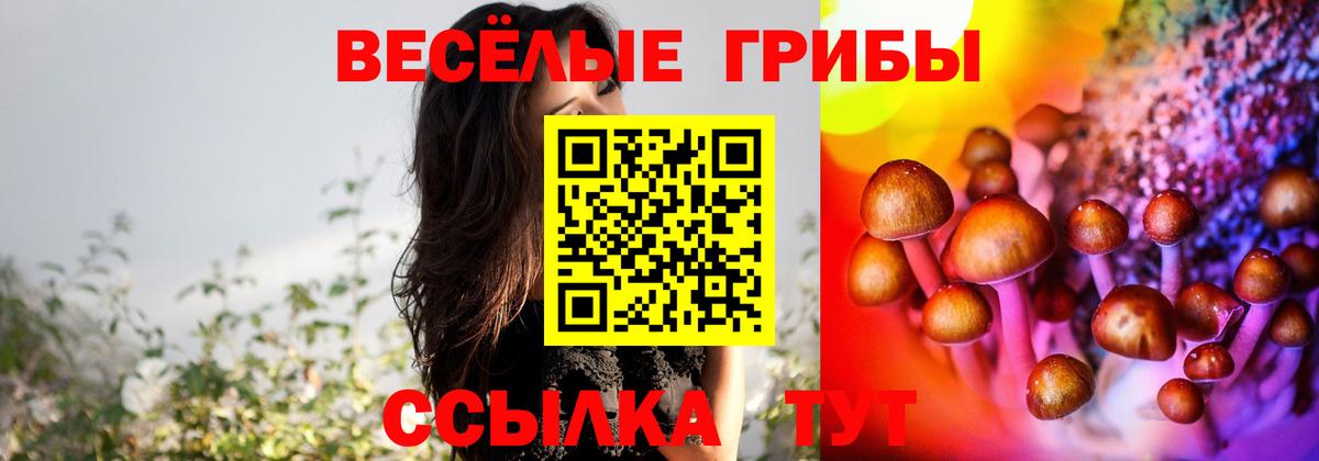 Псилоцибиновые грибы мухоморы  Галлюциногенные грибы MAGIC MUSHROOMS  Воткинск 